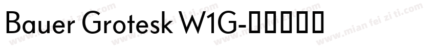 Bauer Grotesk W1G字体转换